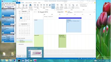 Office 2013 - Anwaltssoftware LawFirm Outlook 2013 Synchronisation - Kalender Planungs-Ansicht